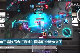 电子竞技员专打游戏？国家职业标准来了视频封面