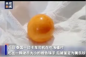 价值百万！泰国司机海螺里吃出龙珠图片