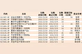 又现日光基？12只基金抢发牛年开工日，景顺长城新能源产业中午认购超50亿图片