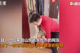 爸爸用包装袋“打包”女儿回姥姥家，女儿露出头来瞬间萌翻网友图片