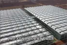 启航新征程｜枣庄市峄城区榴园镇贾泉村村支部书记：扶持深加工企业发展，壮大文化旅游经济，全力推动石榴产业提质增效视频封面