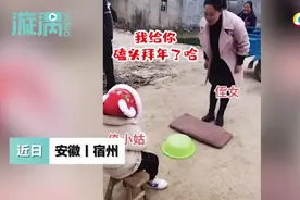 24岁侄女给4岁姑姑磕头要红包，网友调侃：辈分不能乱图片