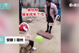 24岁侄女给4岁姑姑磕头要红包，网友调侃：辈分不能乱图片