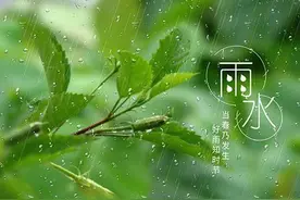 我们的节日·口述民俗丨东风解冻，散而为雨 关于“雨水”，你知道多少？图片