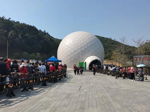 赶紧！南宁森林公园里藏着一个精灵王国，连大朋友都爱去玩！