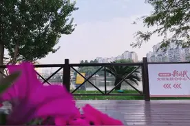 在公园里自习是什么体验？来奉浦的这个“共享自习室”试试吧图片