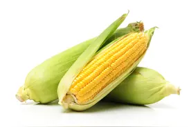 别靠不吃主食减肥了！推荐 10 种不易胖的主食，总有一个对你胃口图片