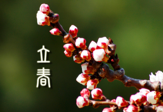 生物刺激素为何最早在欧盟立法？