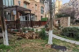 小区业主擅自砍伐树木毁绿，城管：已教育当事人图片