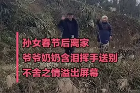 浓浓的爱！爷爷奶奶含泪挥手目送孙女离开图片