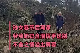 浓浓的爱！爷爷奶奶含泪挥手目送孙女离开图片