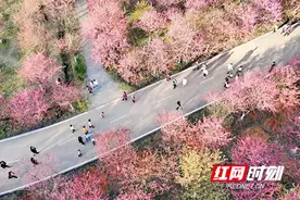 春节假期，常宁实现旅游收入3.15亿元图片