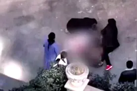 江苏扬州11岁女孩从19楼坠亡！疑因作业问题与家长争吵……图片