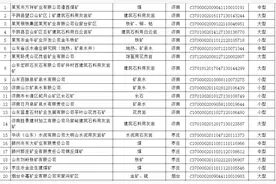 山东省自然资源厅公示第三批省级绿色矿山遴选名单图片