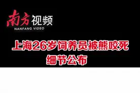 南方视频|上海26岁饲养员被熊咬死细节公布视频封面