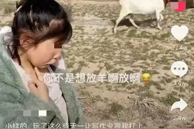 女孩放假不写作业被妈妈带去放羊，一看羊群直接崩溃，回家后乖乖写作业图片
