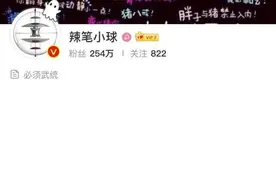 诋毁中印边境戍边英雄，微博大V“辣笔小球”被禁言1年图片