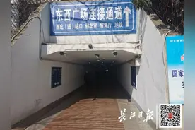 新变化！事关武汉地铁12号线和武昌火车站图片