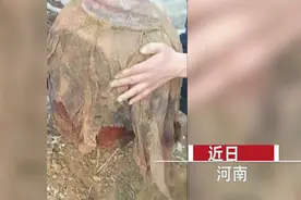 深埋土下30年的酒坛，挖出开坛瞬间男子懵了！过程中一细节称奇图片