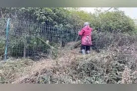 什么情况？这位奶奶竟然“带刀”上高速，大家都捏了一把汗图片