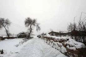 留恋早年大雪年图片