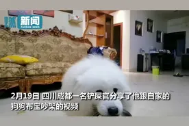 狗狗吃过晚饭意犹未尽 叼着饭盆跟主人吵架要求加餐 结局亮了图片