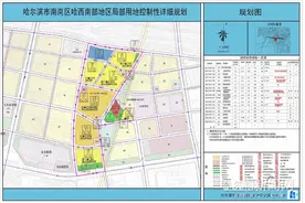 哈西南部这片区域土地规划出炉丨包含公园绿地、体育用地、幼儿园用地等图片