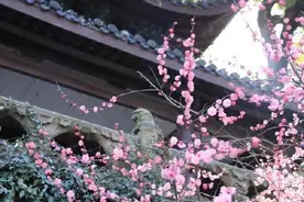 春天在哪里？西湖春色美如画图片