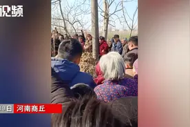 河南一大蛇坟头晒太阳引民众祭拜，官方行动图片