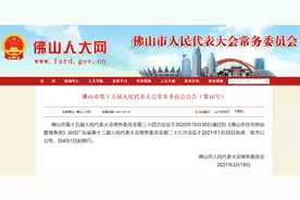 小区公共收益不得擅自挪用、侵占！佛山物管新规4月起施行图片