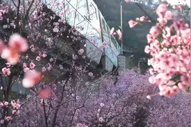 乘着“开往春天的列车”去上班视频封面