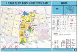 刚刚公示！17处地块！哈市这片区域将大变样，公园绿地、健身休闲、幼儿园…图片