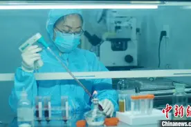对癌作战 MCTL®多靶点抗肿瘤药物研发进行时图片