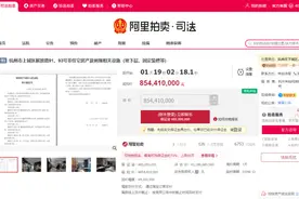 欠债6亿！曾经位列“杭州十大商场”的天工艺苑，下周一要被拍卖了图片