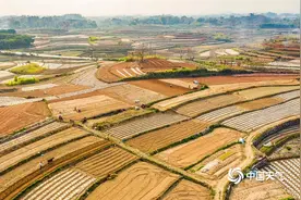人勤春来早 广西南宁农民抓住晴朗天气开展春耕图片