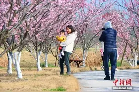 大年初九北京气温就破20℃！秋裤脱还是不脱？图片