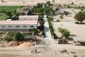 中国援毛里塔尼亚畜牧业技术示范中心助力破解当地发展难题图片