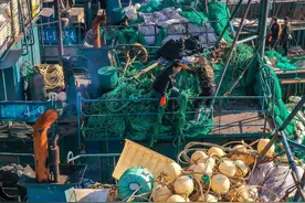 山东荣成：渔民扬帆出海忙图片