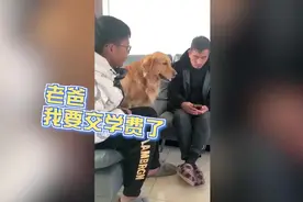 儿子开学爸爸只给250元学费，一旁金毛听后慷慨解囊场面太有爱了图片