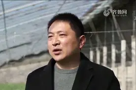 15元一斤！兰陵长城镇马庄大棚蒜薹喜获丰收！视频封面