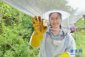 黄文秀：你的身影，永留山乡图片