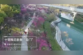十里梅花新春“盈门”视频封面