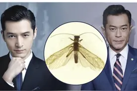 「轻松阅读」古天乐、胡歌登上核心期刊，他们的名字被用来命名一个新物种图片