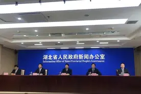 湖北光谷实验室来了 目标直指世界级重大成果图片