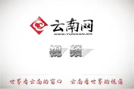 云南曲靖一乘客醉酒叫不醒 司机无奈报警求助图片