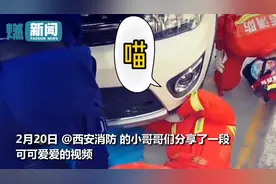消防员小哥哥解救被困小猫 救援现场瞬间萌萌哒图片