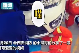 消防员小哥哥解救被困小猫 救援现场瞬间萌萌哒图片