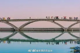 贡湖湾湿地公园 早春好去处图片