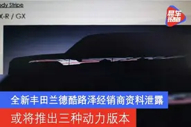 全新丰田兰德酷路泽经销商资料泄露 或将推出三种动力版本图片