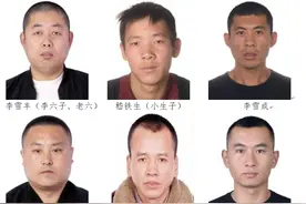 关于征集以李雪丰为首的涉嫌黑恶犯罪团伙违法犯罪线索的通告图片